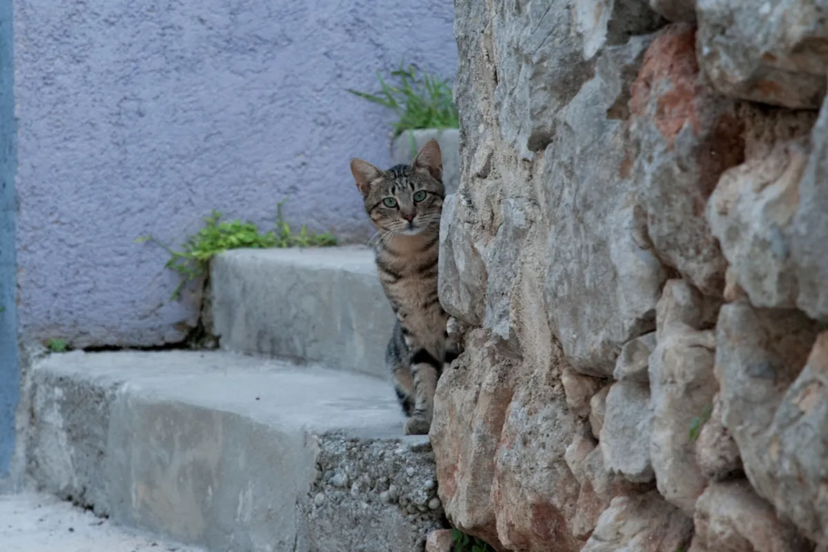 Mali Lošinj Hidden Beach Map: Your Secluded Cove Guide