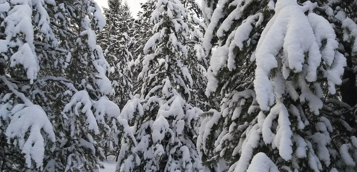 Milan Local Food Experiences 2025: An Authentic Guide