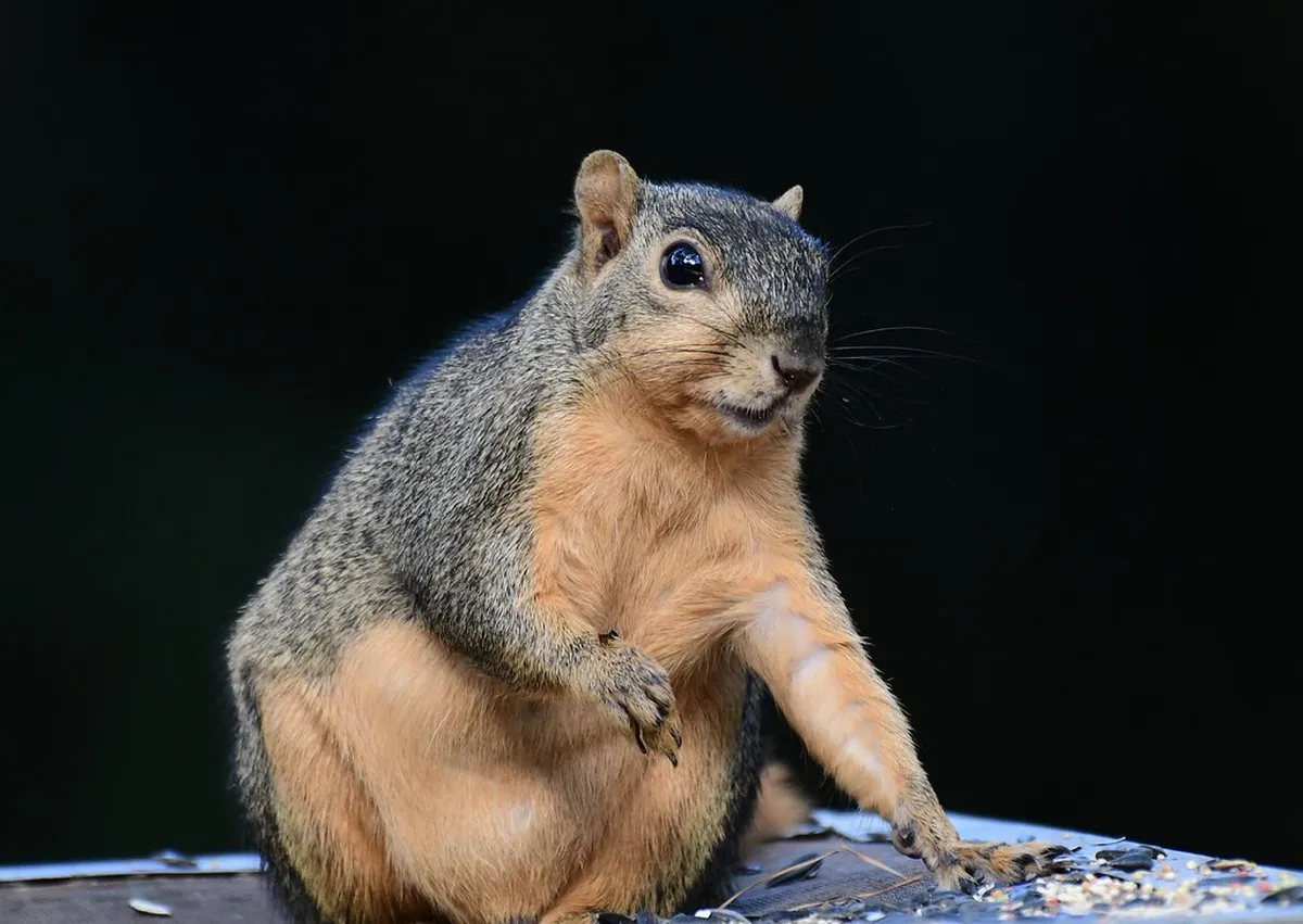 Milazzo's Forgotten Ancient Ruins: A 2025 Guide