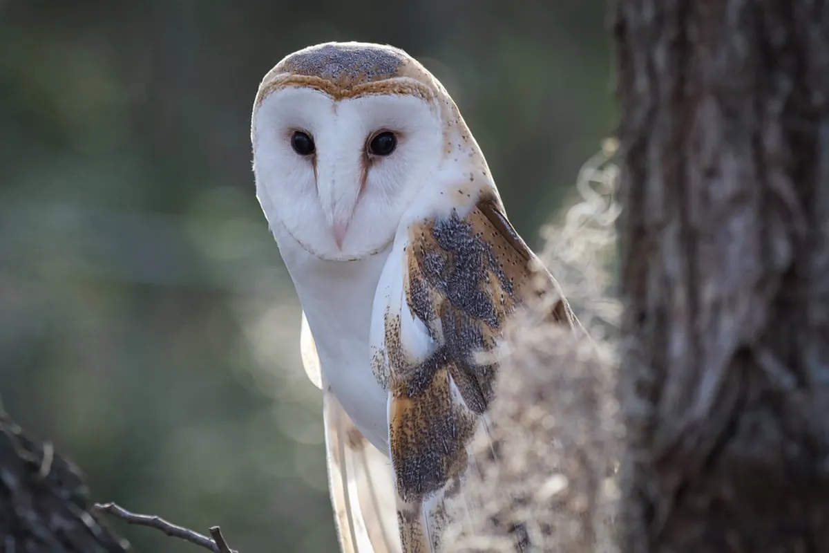 Milazzo Hidden Scenic Views: Your 2025 Guide to Unseen Beauty