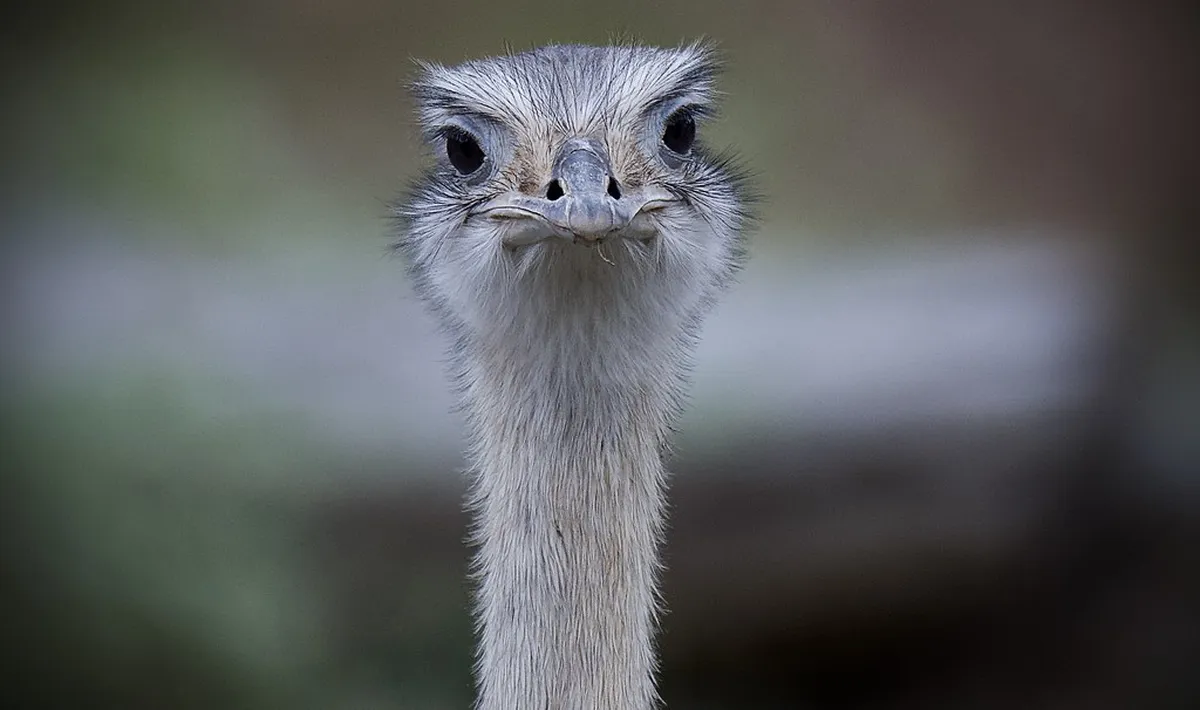 Milazzo Non-Touristy Nightlife: Local Gems for 2025