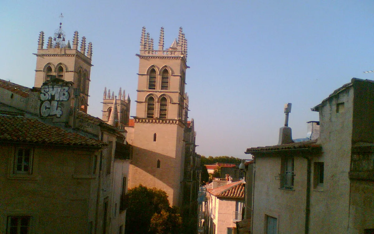 Discover Montpellier Secret Gardens & Hidden Green Spaces