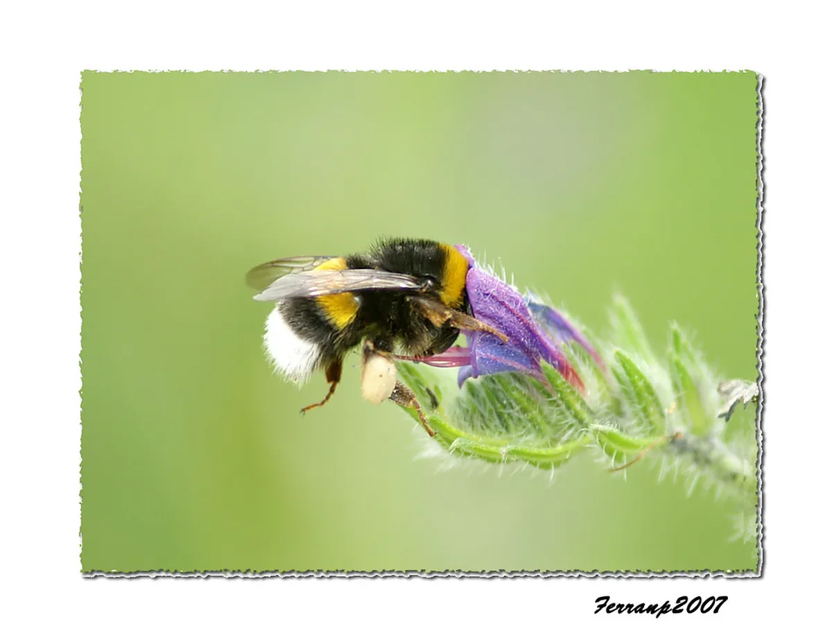 Münster Alternative Sightseeing: Uncover Hidden Gems in 2025