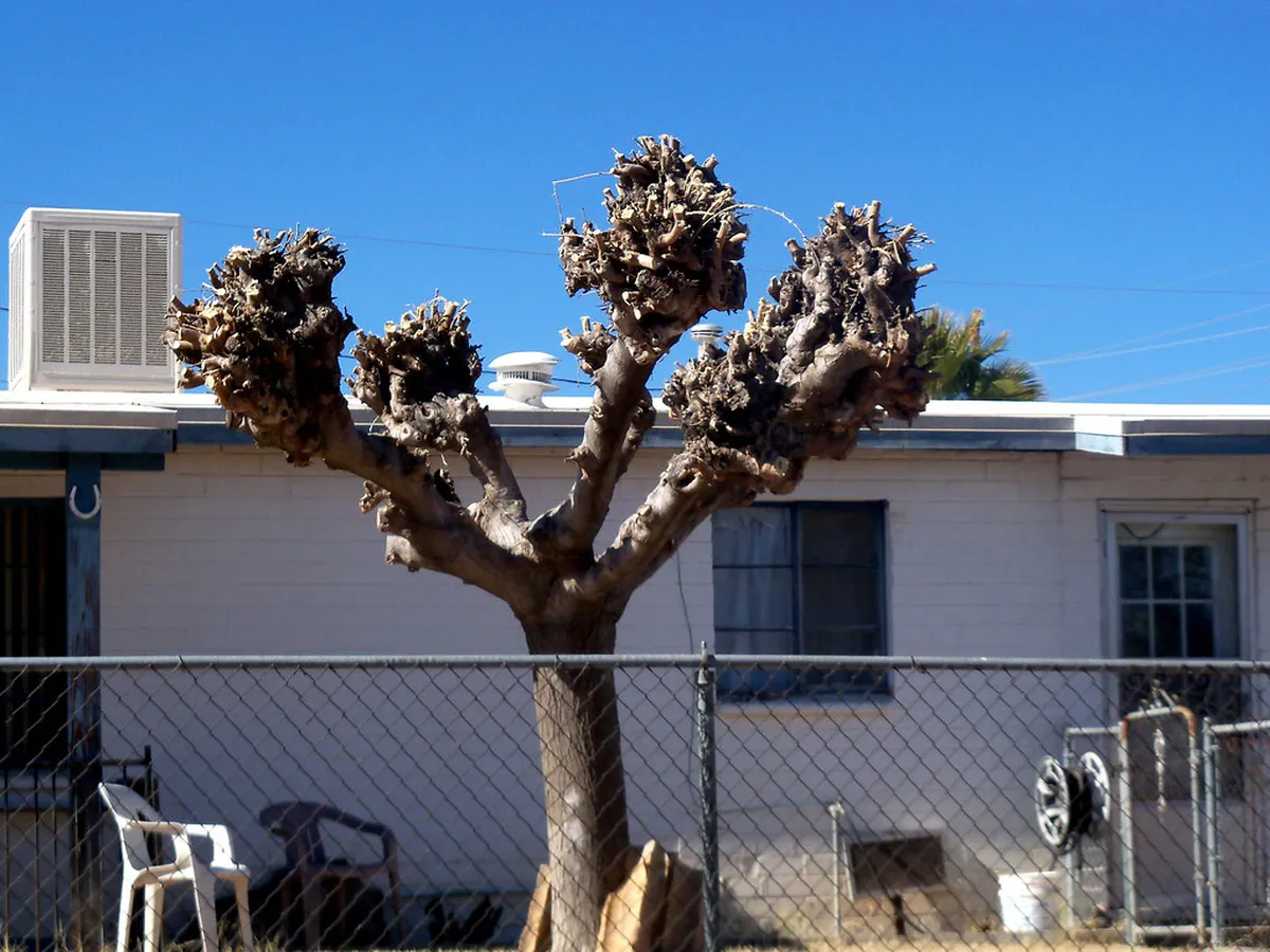 Naples Lesser-Known Markets Guide 2025