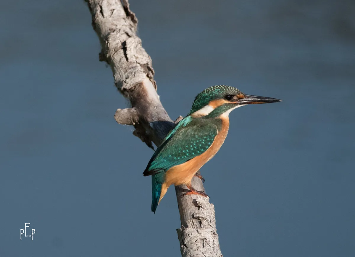 Neuchâtel Local Secrets Guide: Hidden Gems for 2025