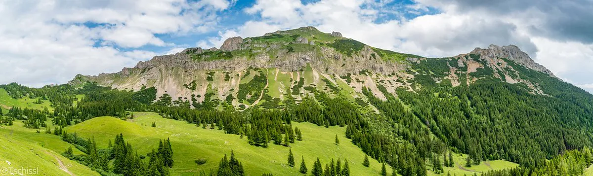 Non-Touristy Kraków Walks: Hidden Gems for 2025