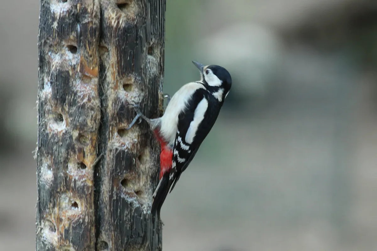 Nottingham Lesser Known Pubs: Your 2025 Hidden Gems Guide