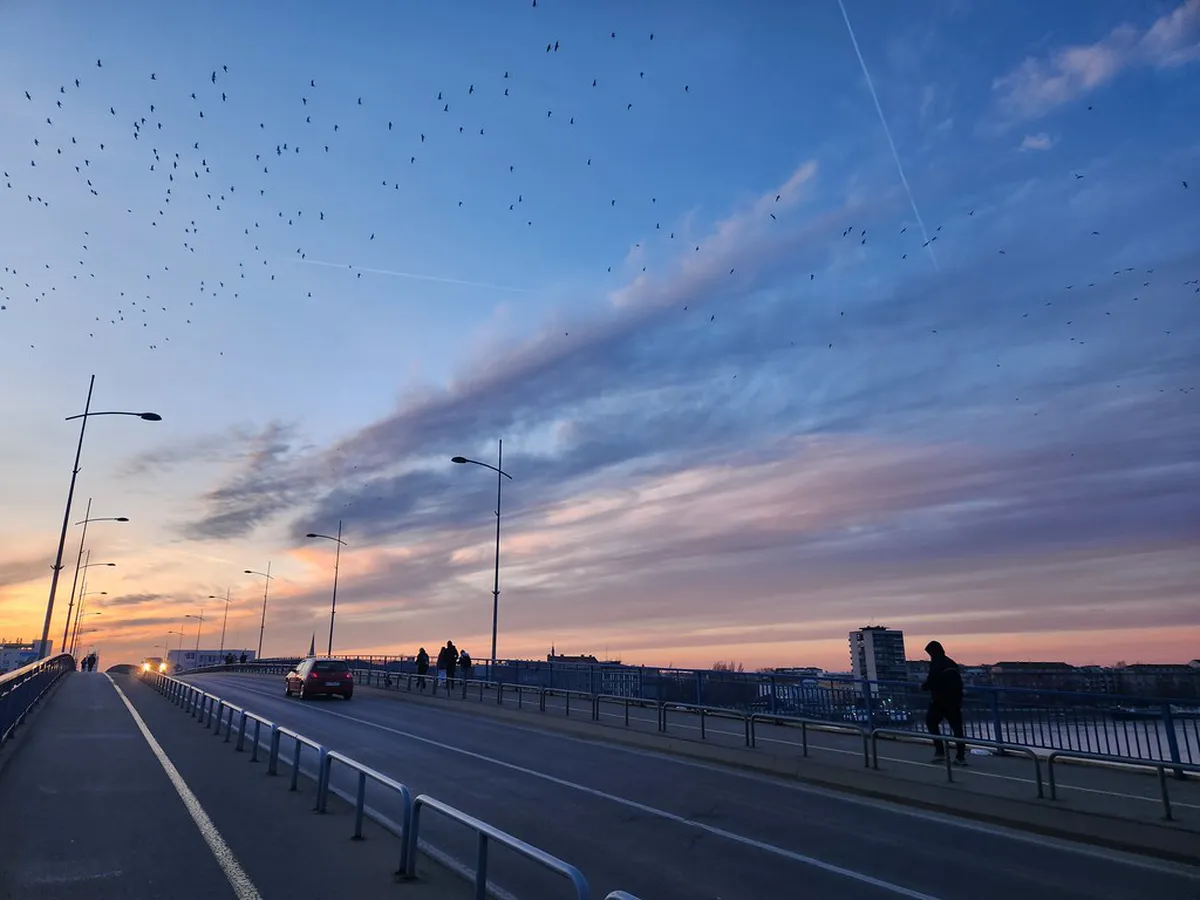 Novi Sad Quiet Parks: Discover Peaceful Green Escapes