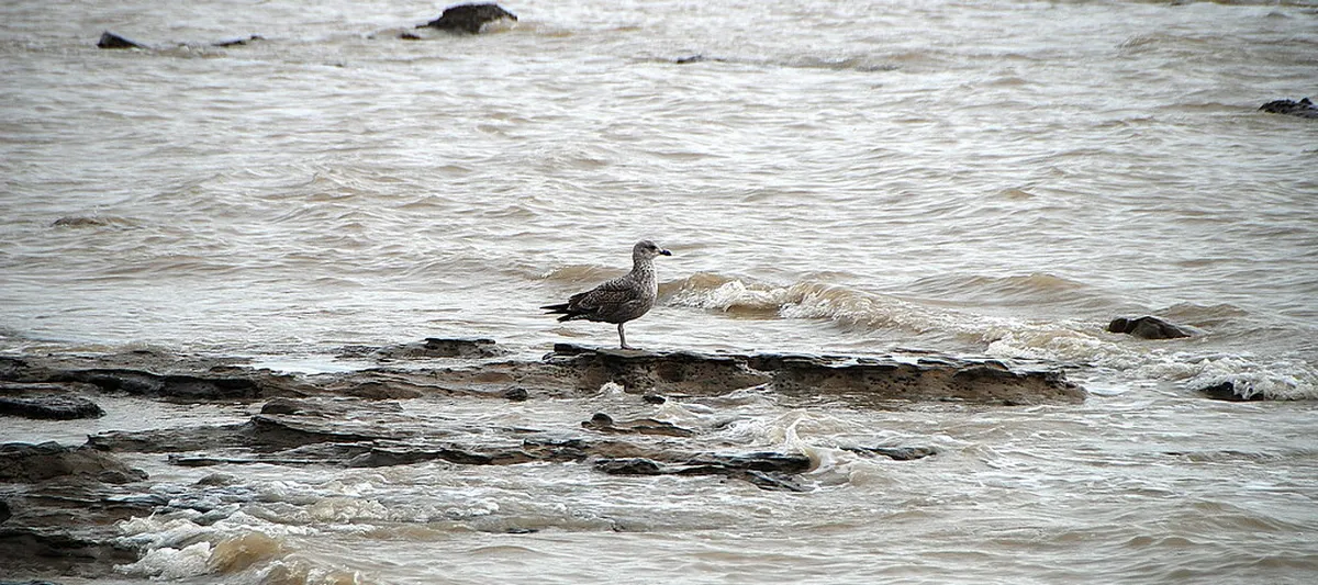 Discover Off-beat Lecce Attractions: Unique Gems for 2025