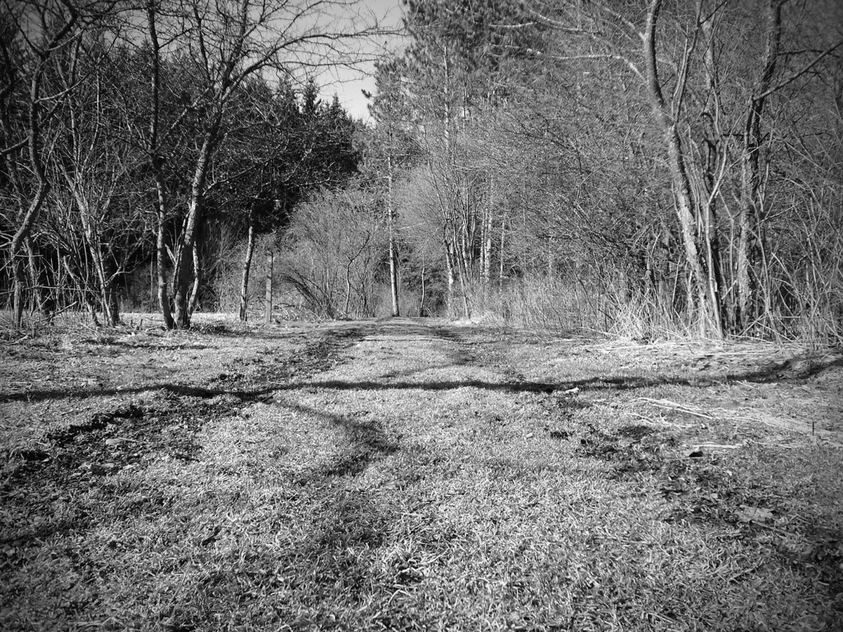 Esztergom Off the Beaten Path: Your 2025 Hidden Gems Guide