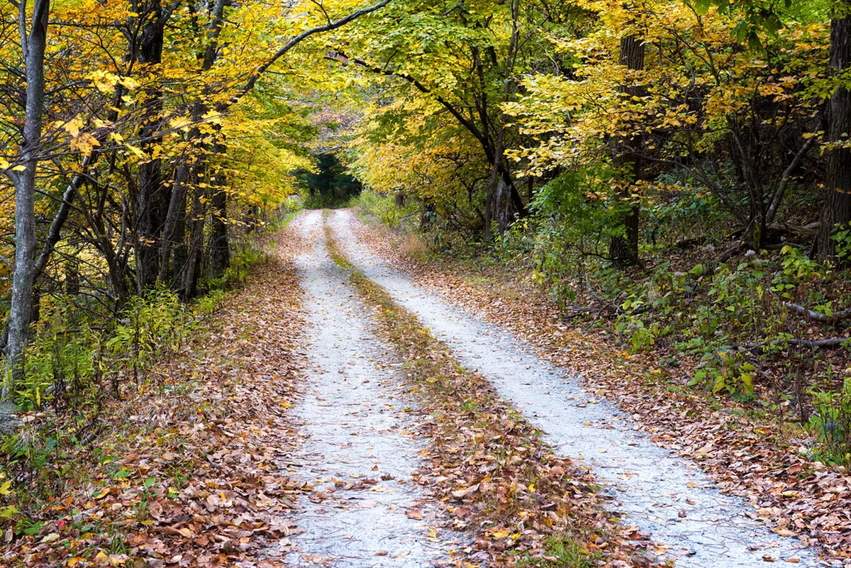 Unforgettable Off-the-Beaten-Path Braşov Tours 2025