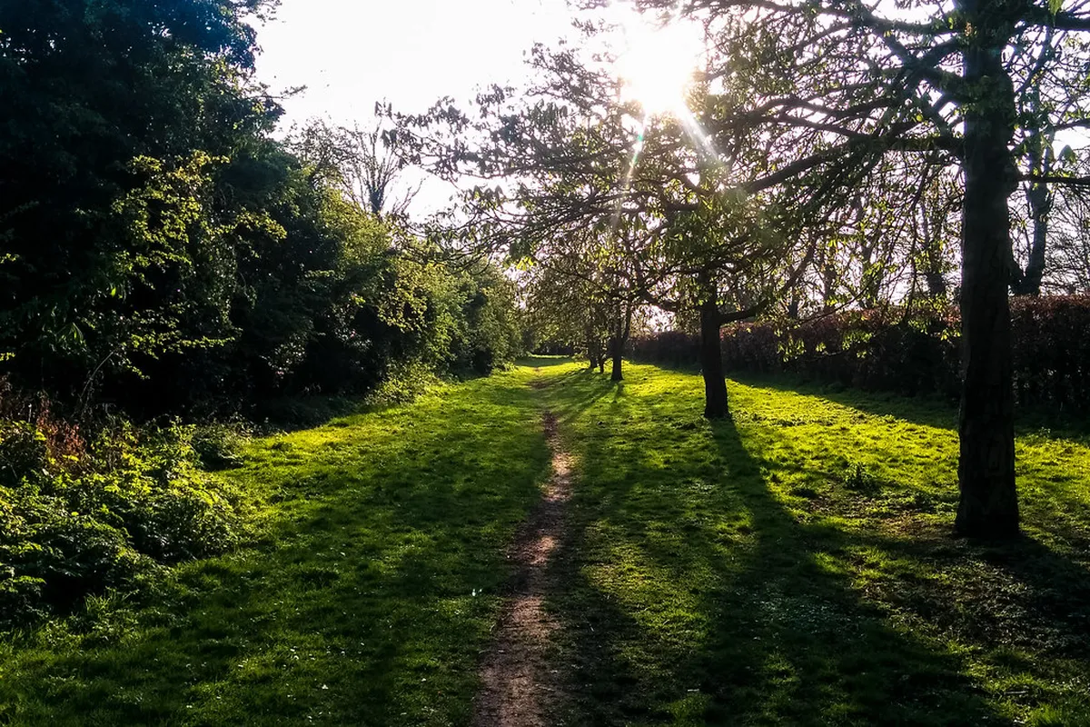 Discover Off-the-Beaten-Path Catania in 2025