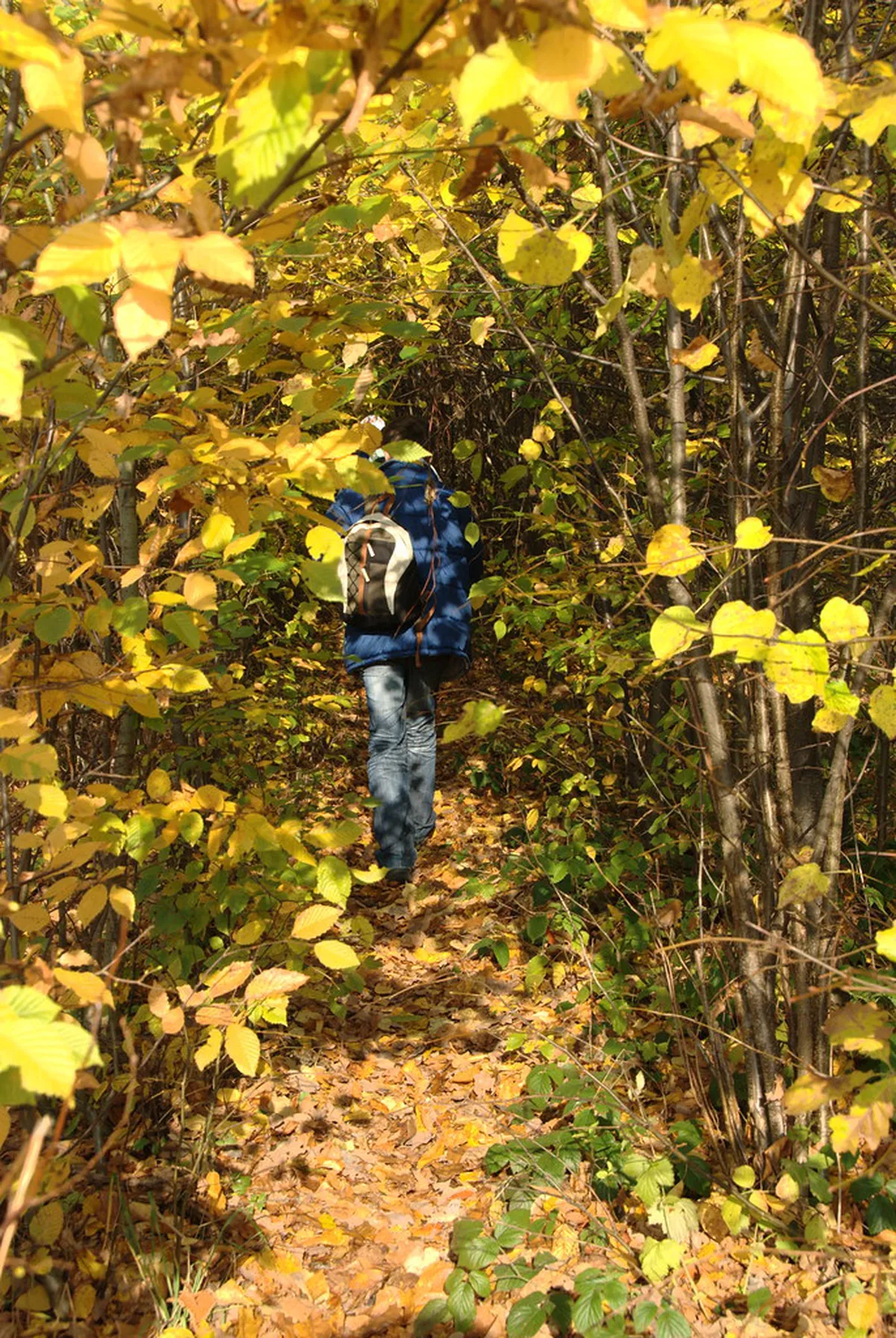 Discover Olomouc's Hidden Gems: Your 2025 Local Guide