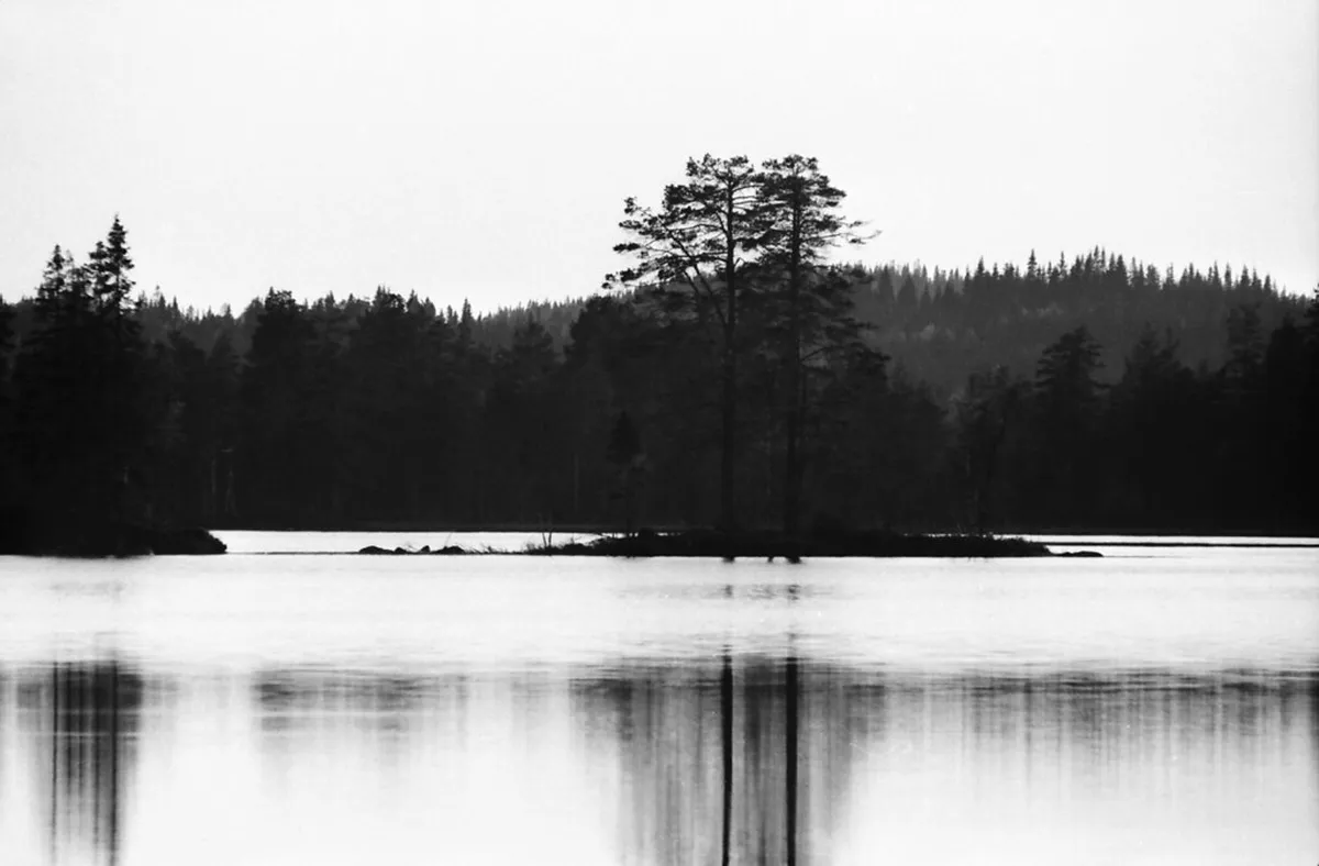 Oslo Quiet Hiking Trails: Escape the Crowds in 2025