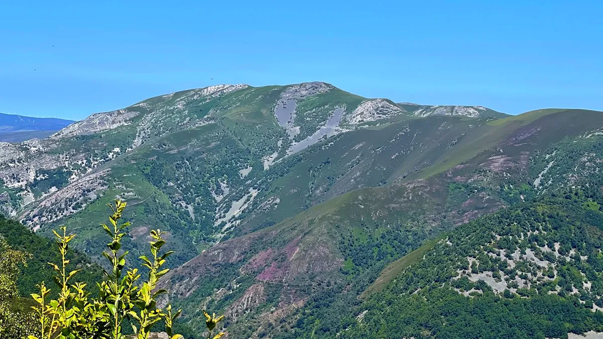 Discover Oviedo Local Craft Markets in 2025