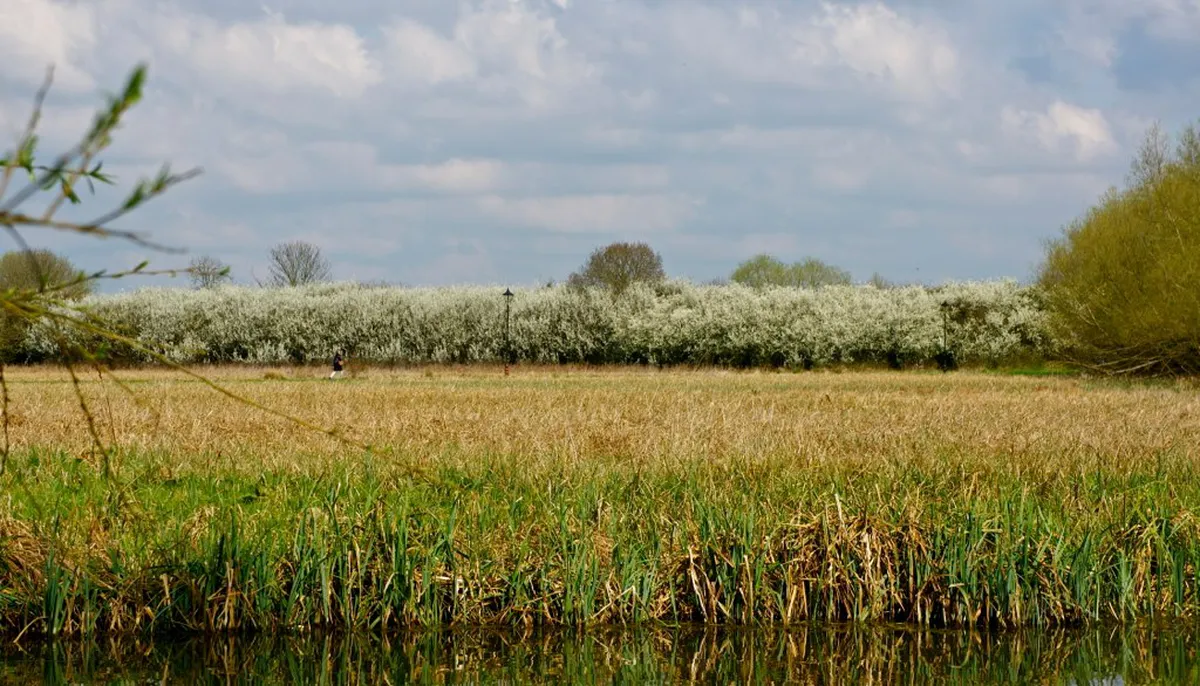 Oxford's Hidden Bookshops Map: Unearthing Literary Gems