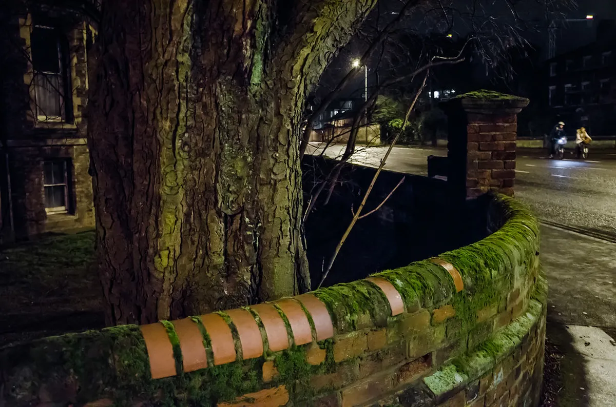 Oxford Offbeat Attractions: Discover Hidden Gems in 2025