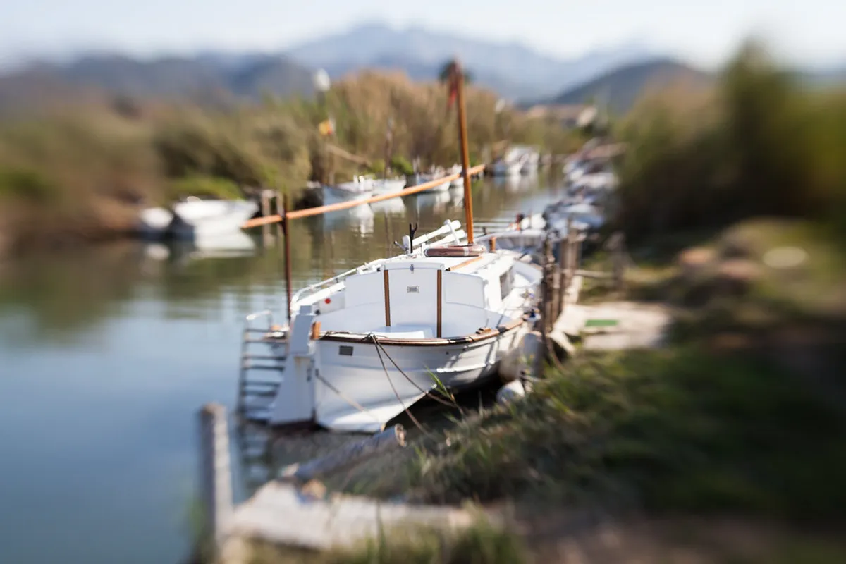 Discover Palma's Vibrant Street Art Scene in 2025