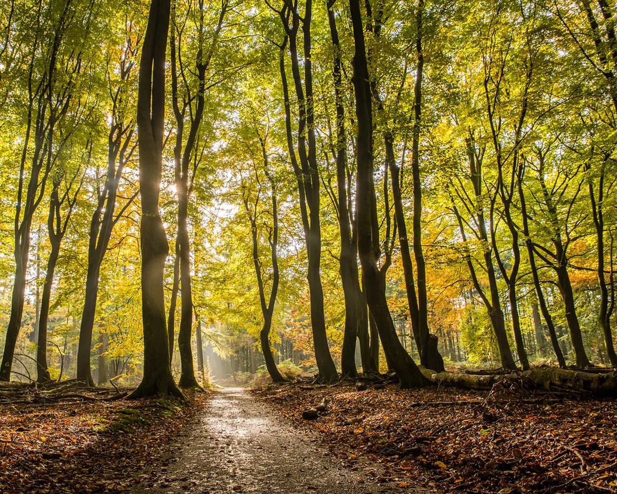 Discover Peaceful Parks in Regensburg for 2025