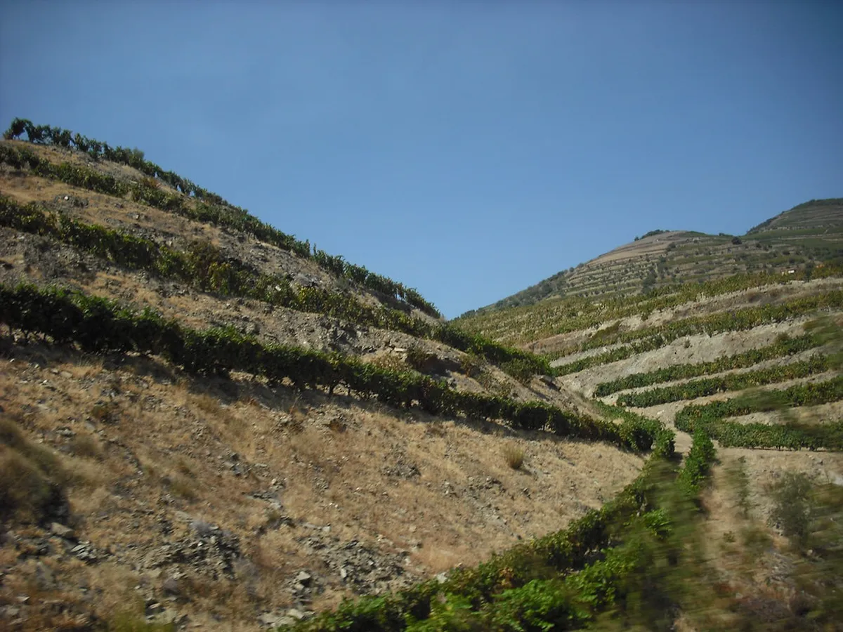 Pinhão's Hidden Gems: Discover Secret Douro Valley Treasures