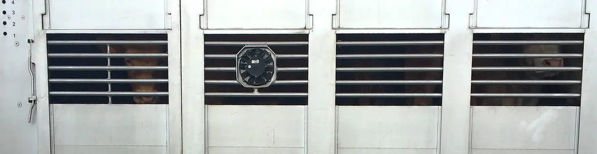 Discover Pisa's Secret Garden Locations in 2025