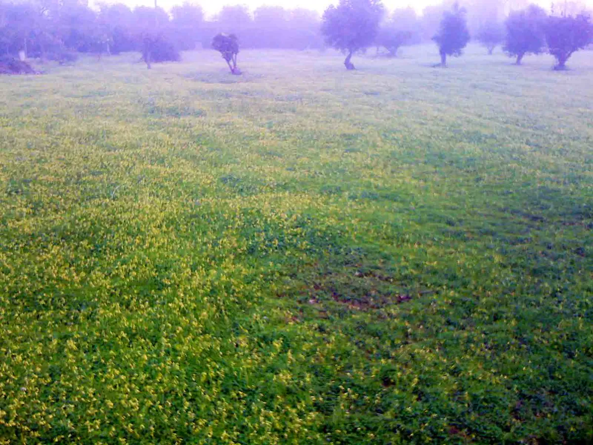 Pollença Secret Swimming Holes: Best Hidden Coves 2025