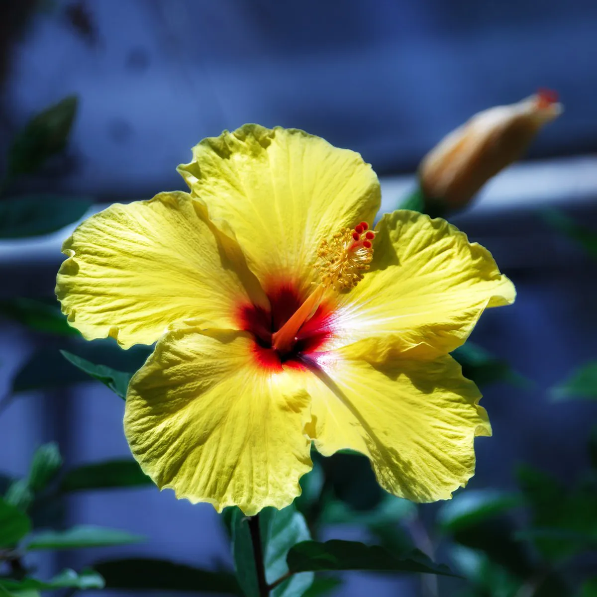 Discover Pollença's Lesser-Known Historical Sites in 2025