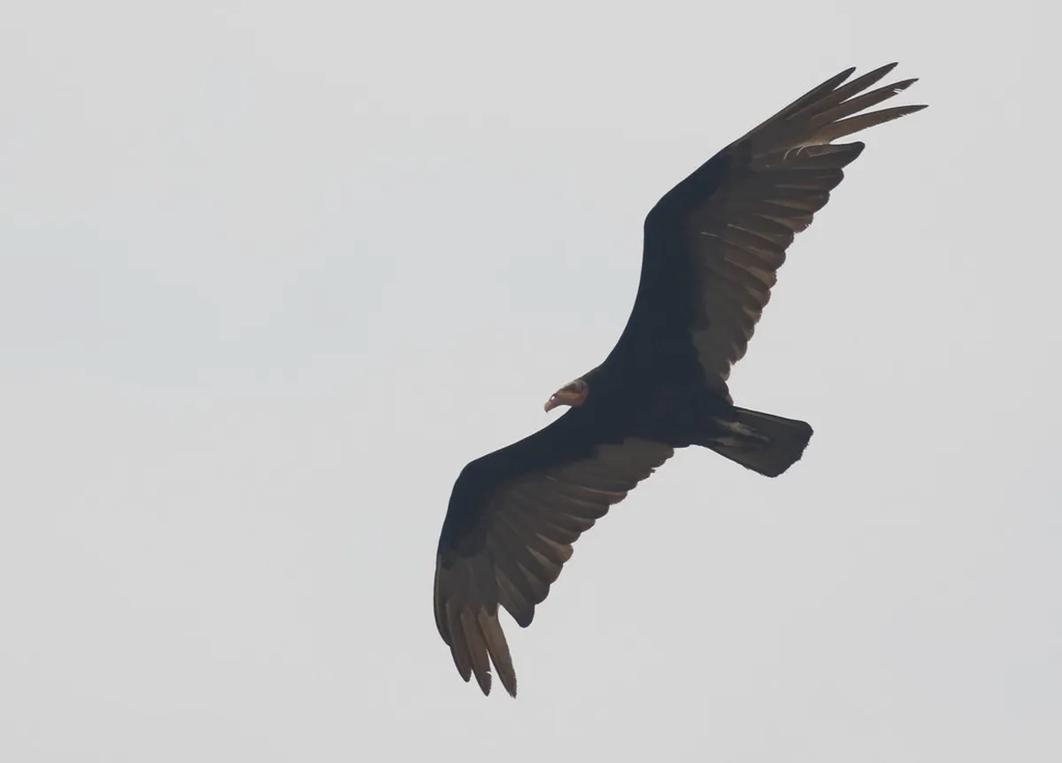 Discover Porto's Lesser Known Museums in 2025