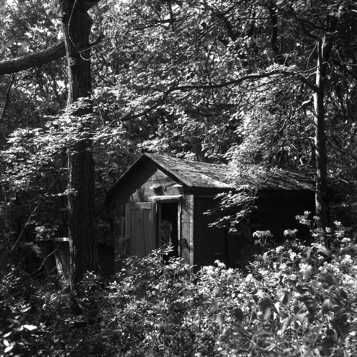 Discover Potsdam's Hidden Gems: An Expert Travel Guide 2025