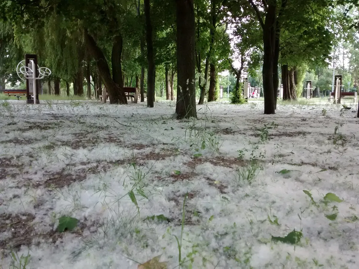 Poznań Local Artisan Workshops: Your 2025 Creative Guide