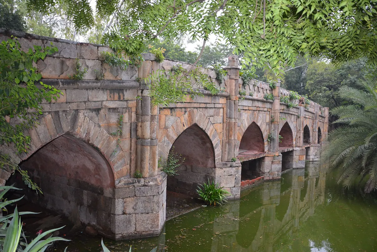 Pula Market Shopping: A Local's Guide to Fresh Finds