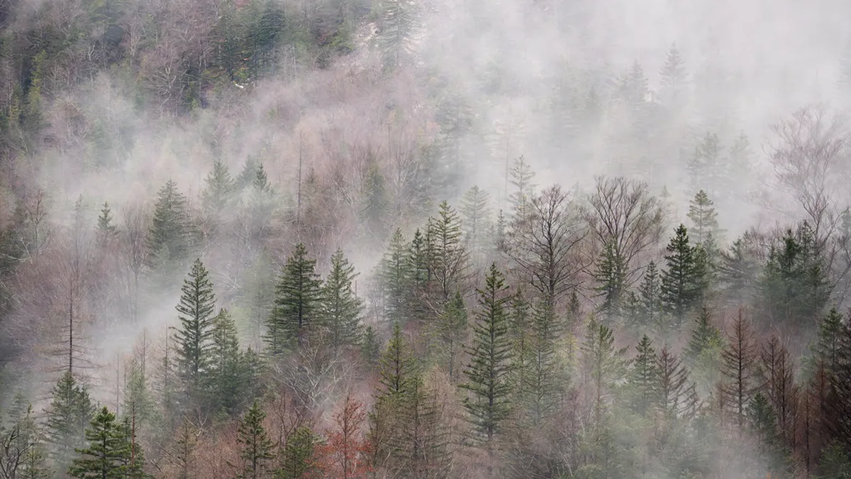 Discovering Quiet Bovec Picnic Areas in 2025