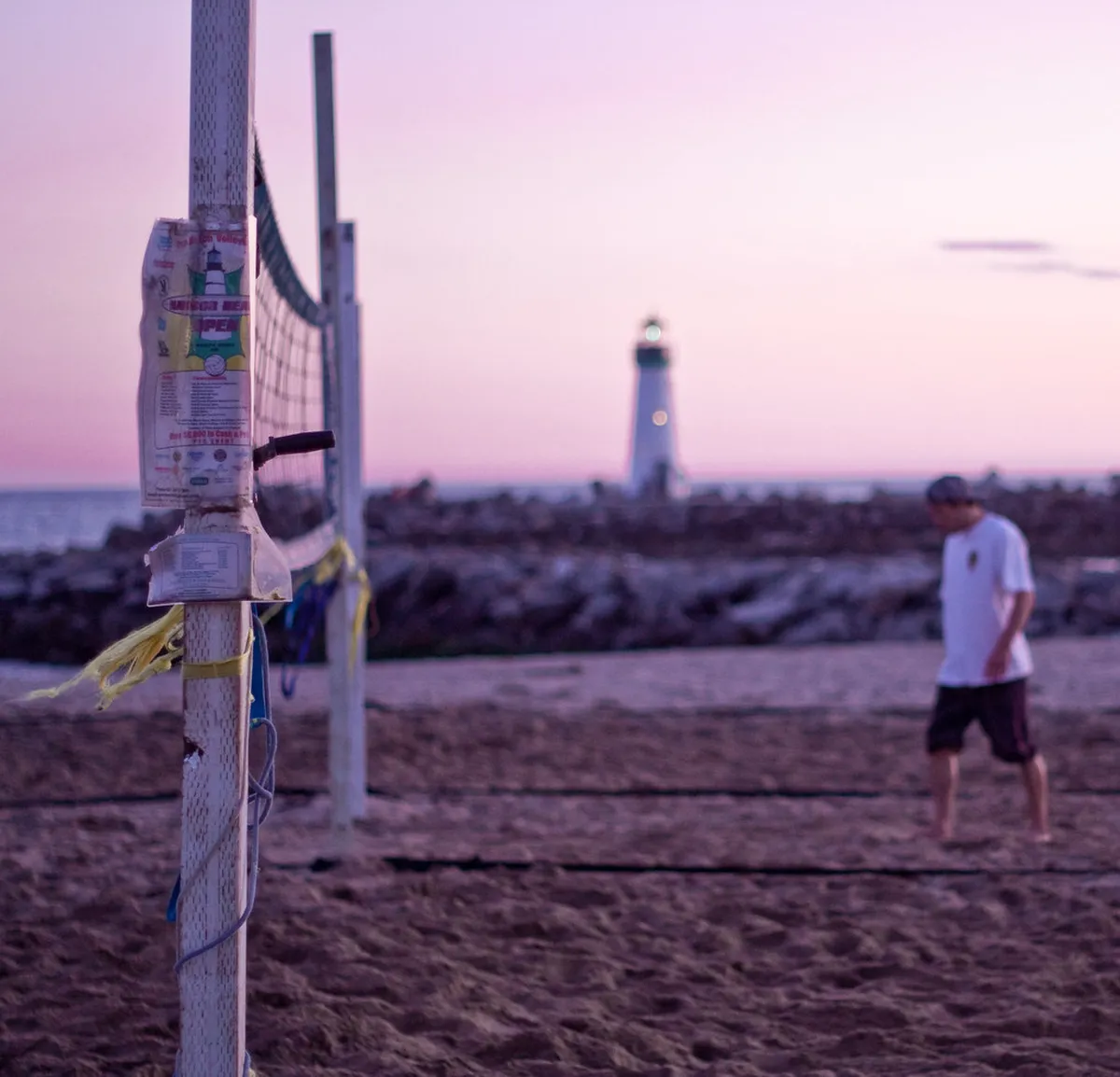 Discover Quiet Cafes Santa Cruz for Relaxing Breaks