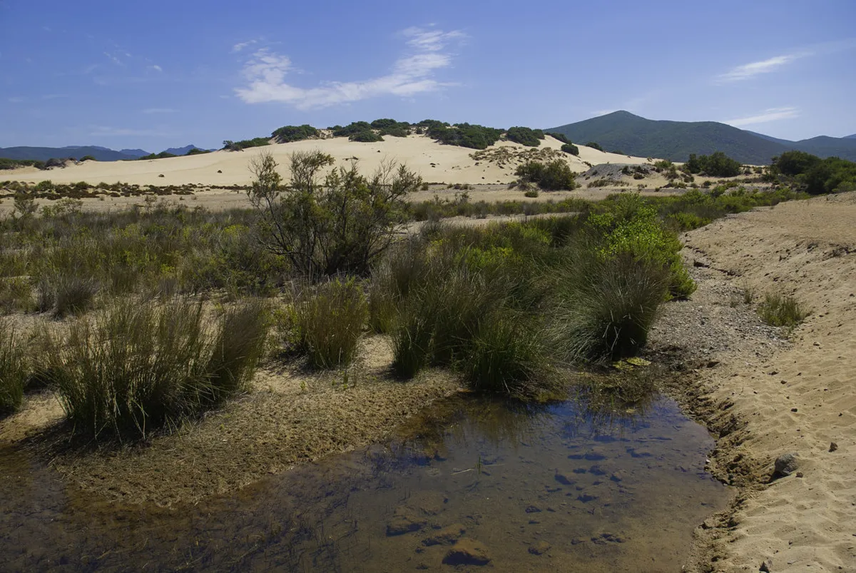 Quiet Cagliari Parks: Find Peace & Relax in 2025