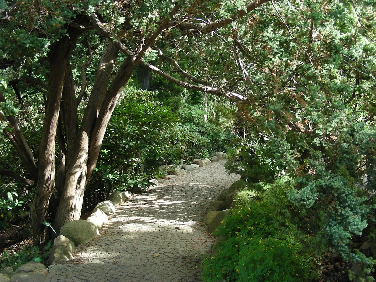 Discover Quiet Copenhagen Gardens: Serene Green Escapes