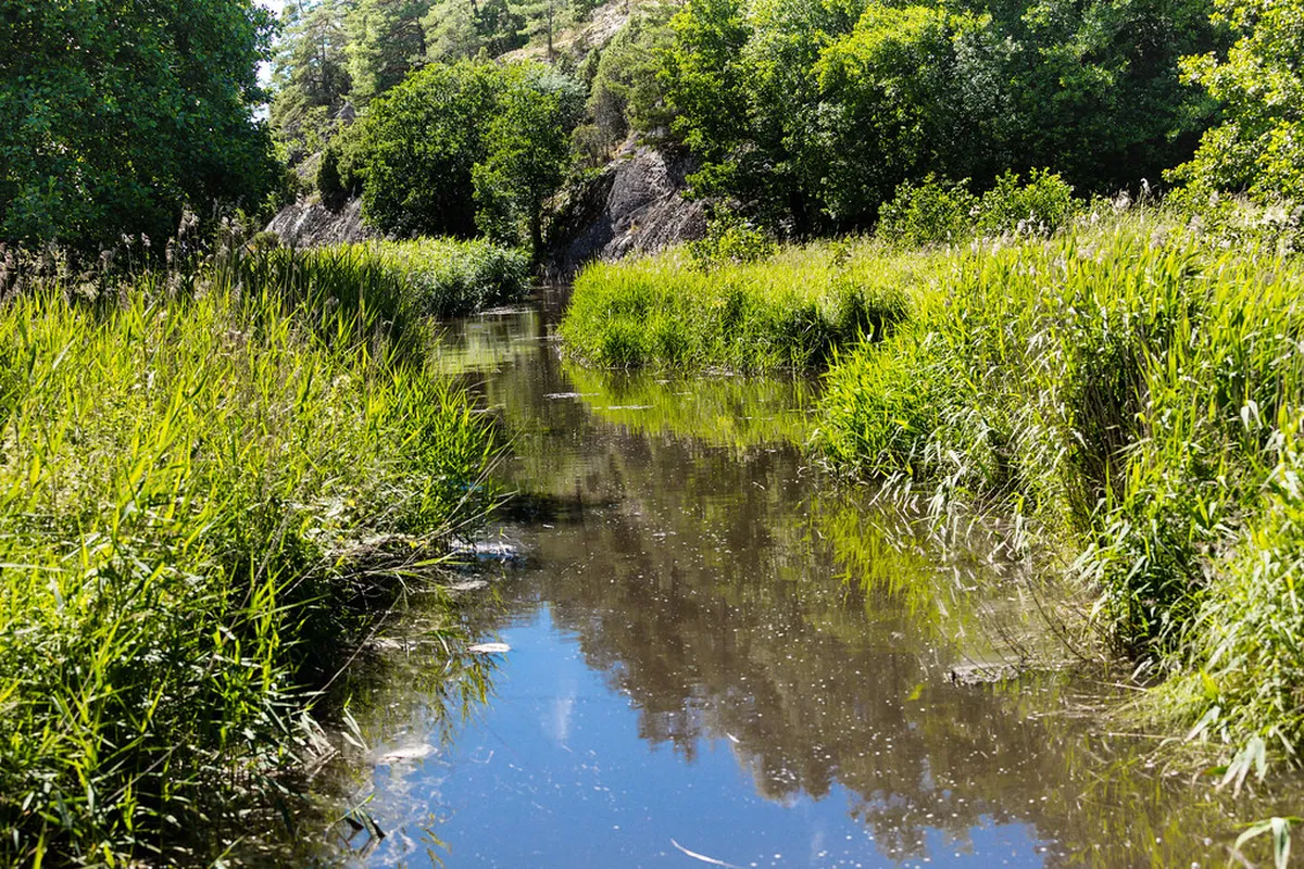 Discover Quiet Gardens Bordeaux: Your 2025 Tranquil Escape Guide