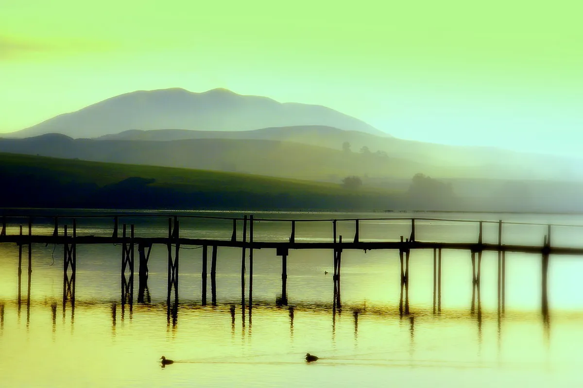 Discover Quiet Inverness Hiking Trails in 2025