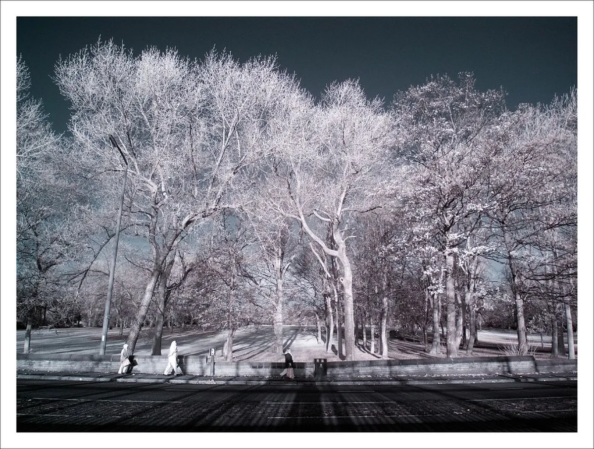 Discover Quiet Parks in Leeds: Your Guide to Tranquil Spaces