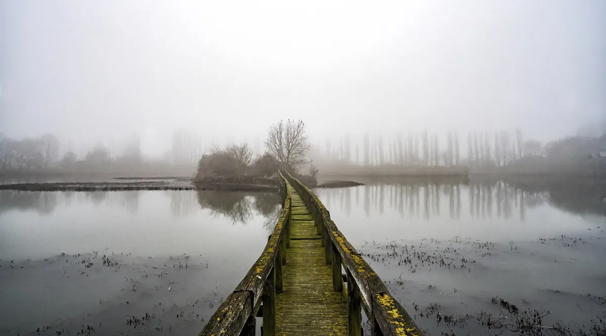 Quiet Parks La Laguna: Your Guide to Peaceful Escapes