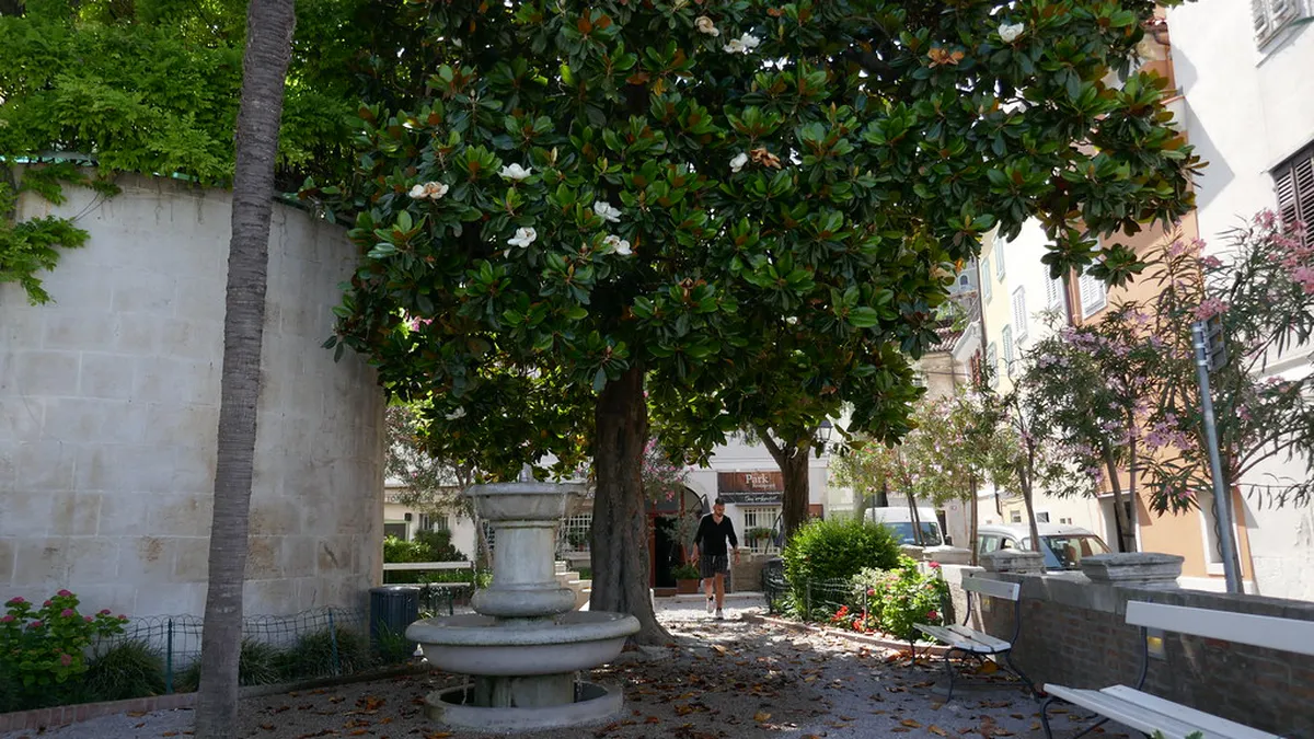 Quiet Piran Sunset Spots: Serene Views for 2025 Travel