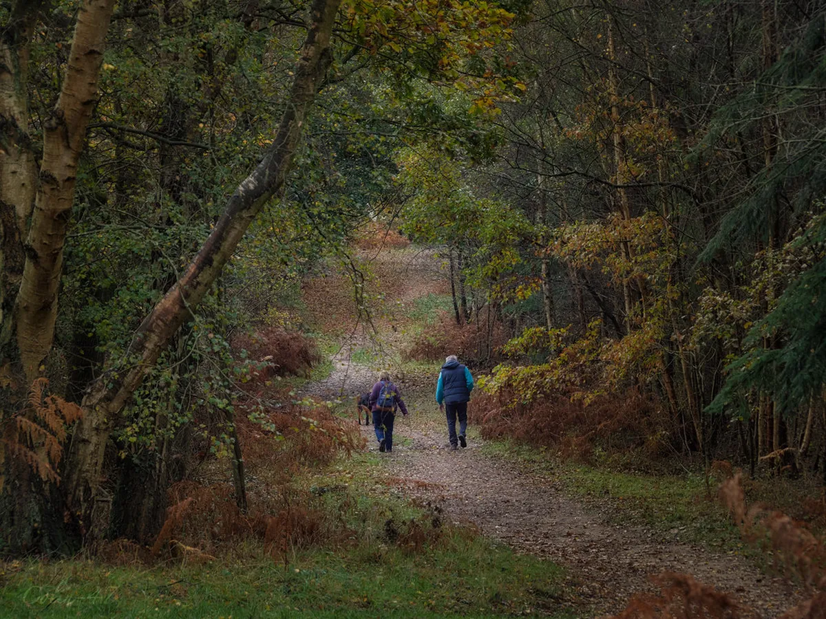 Discover the Best Quiet Walks in Lausanne for 2025