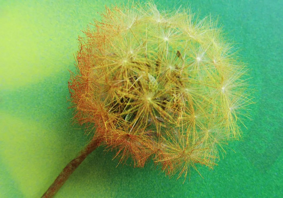 Discover Leeuwarden's Quirky Shops for Unique Finds