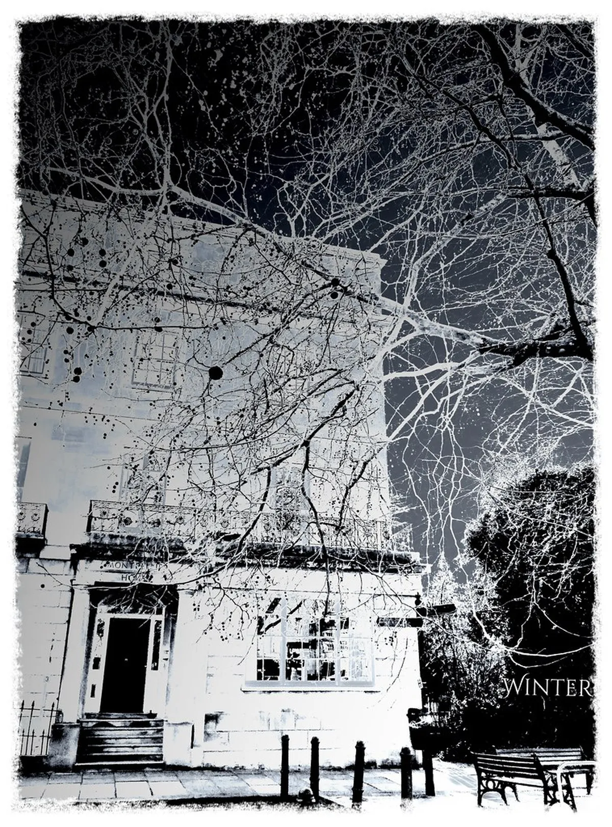 Discover Quirky Montpellier Museums in 2025