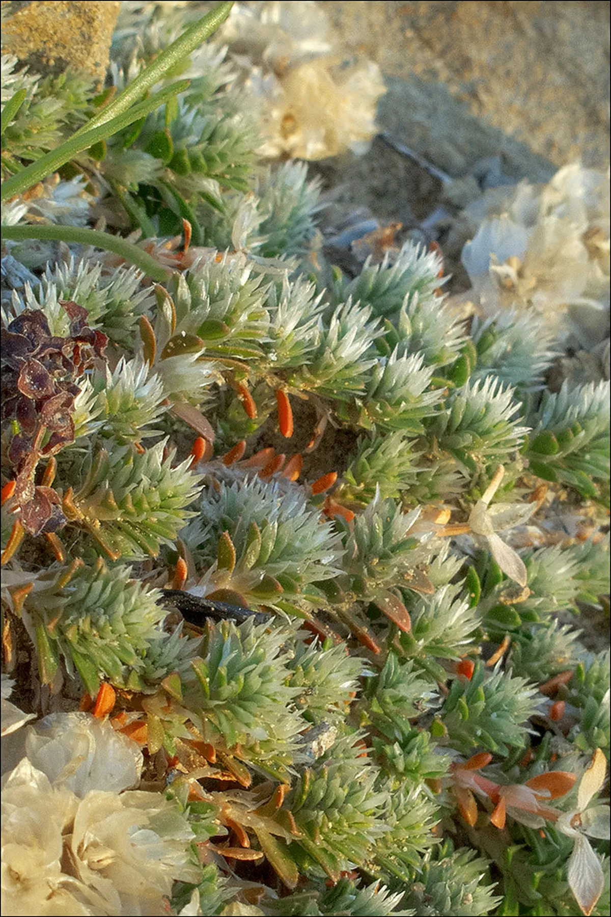 Rijeka Hidden Beaches Guide: Secret Shores for 2025