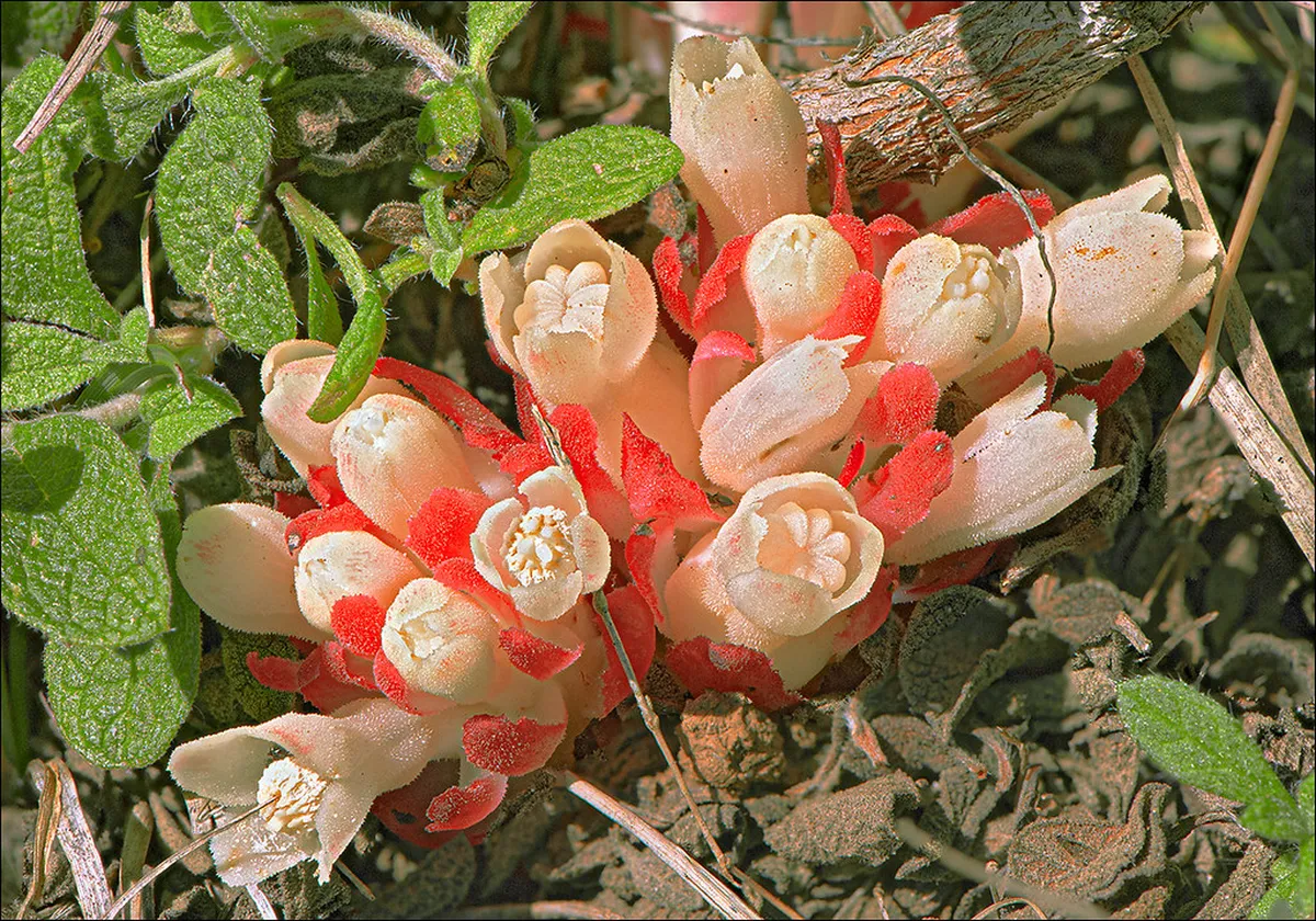 Discover Rijeka's Hidden Viewpoints: Your 2025 Guide