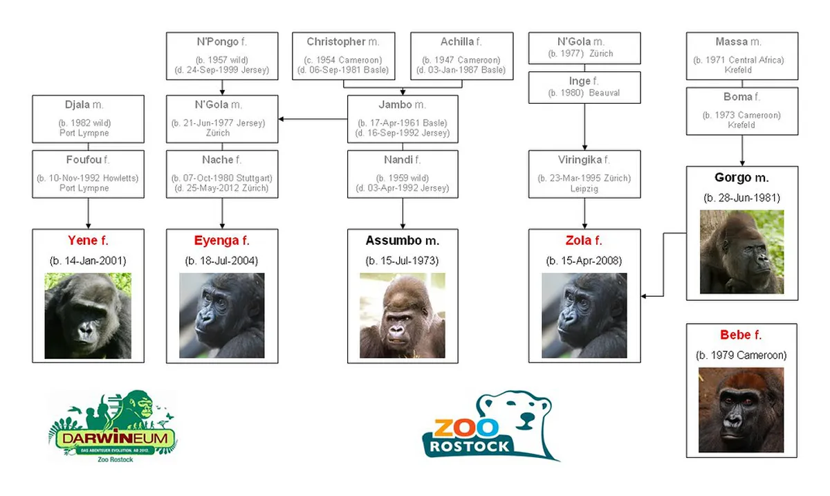 Rostock Non-Touristy Beach Guide 2025: Uncover Hidden Sands