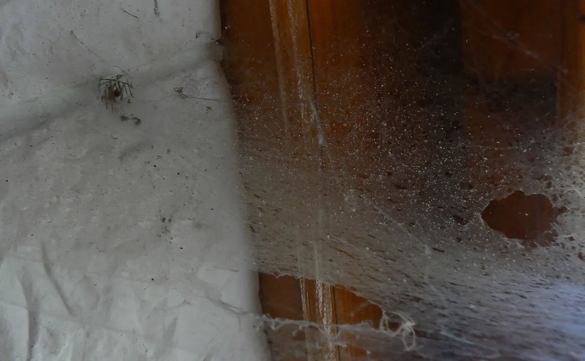 Ruse Abandoned Places: An Urbex Guide for 2025