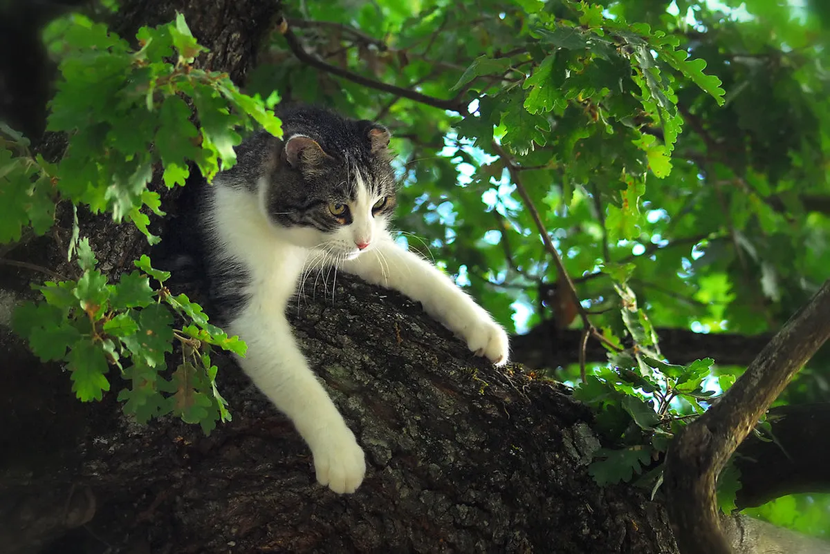 Discover Ruse's Hidden Gems: Your 2025 Local Guide