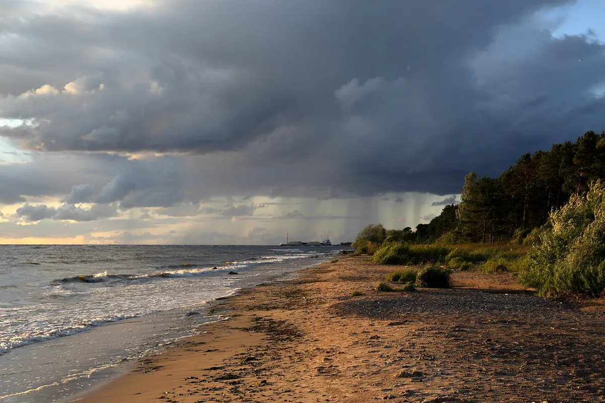 Discover Rīga Local Workshops: Creative Experiences 2025