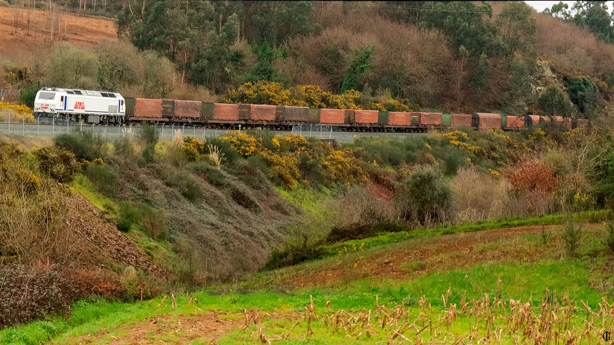 Discover Santiago's Best Local Eateries in 2025